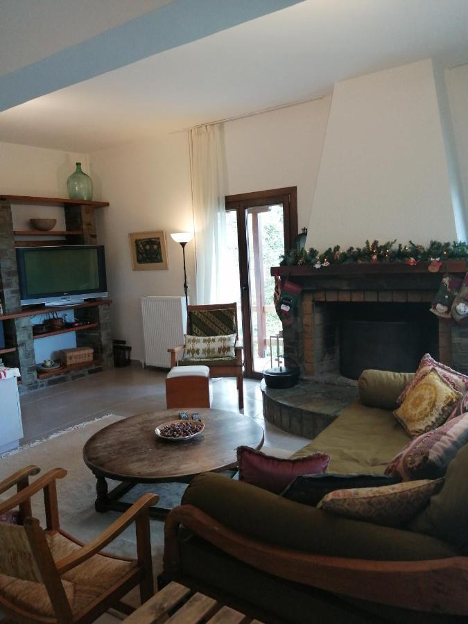 Delux house in Tsangarada Villa Tsagkarada Buitenkant foto