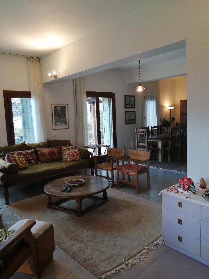 Delux house in Tsangarada Villa Tsagkarada Buitenkant foto