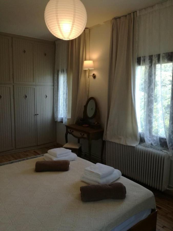 Delux house in Tsangarada Villa Tsagkarada Buitenkant foto