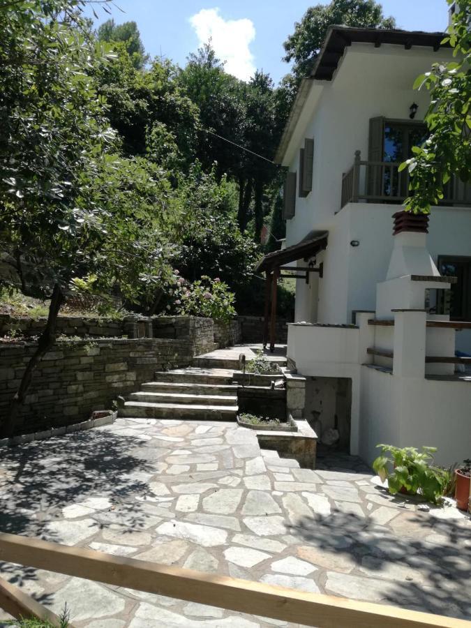 Delux house in Tsangarada Villa Tsagkarada Buitenkant foto
