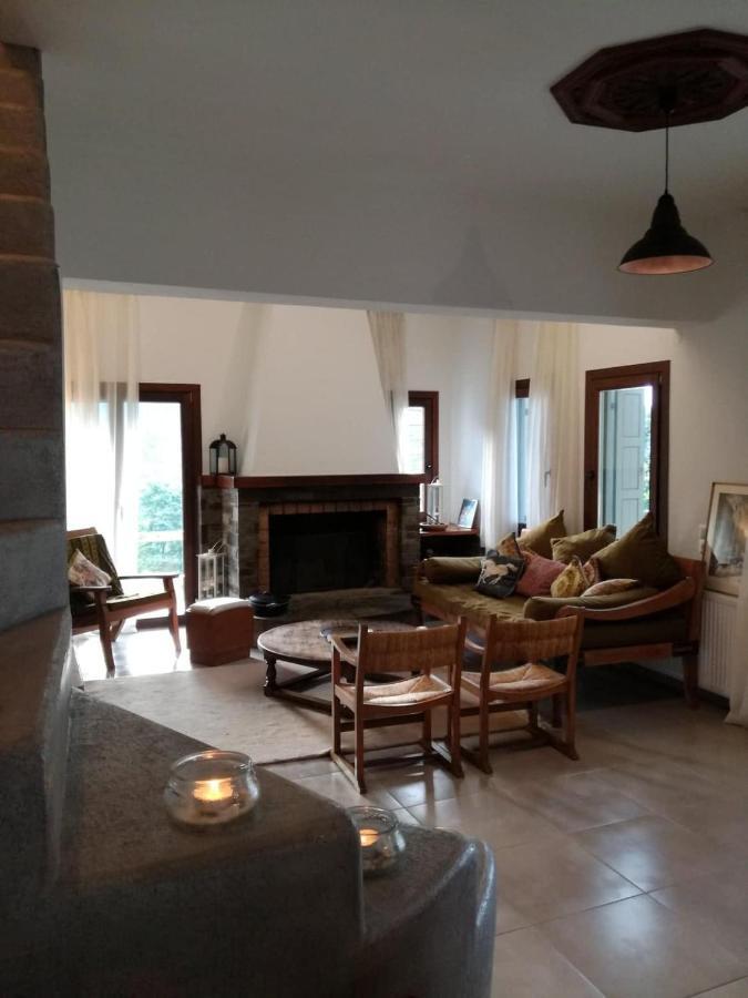 Delux house in Tsangarada Villa Tsagkarada Buitenkant foto