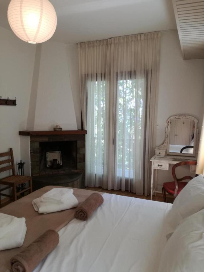 Delux house in Tsangarada Villa Tsagkarada Buitenkant foto