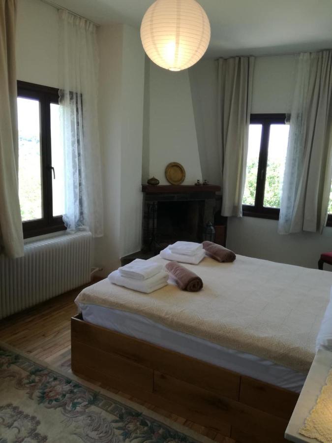 Delux house in Tsangarada Villa Tsagkarada Buitenkant foto